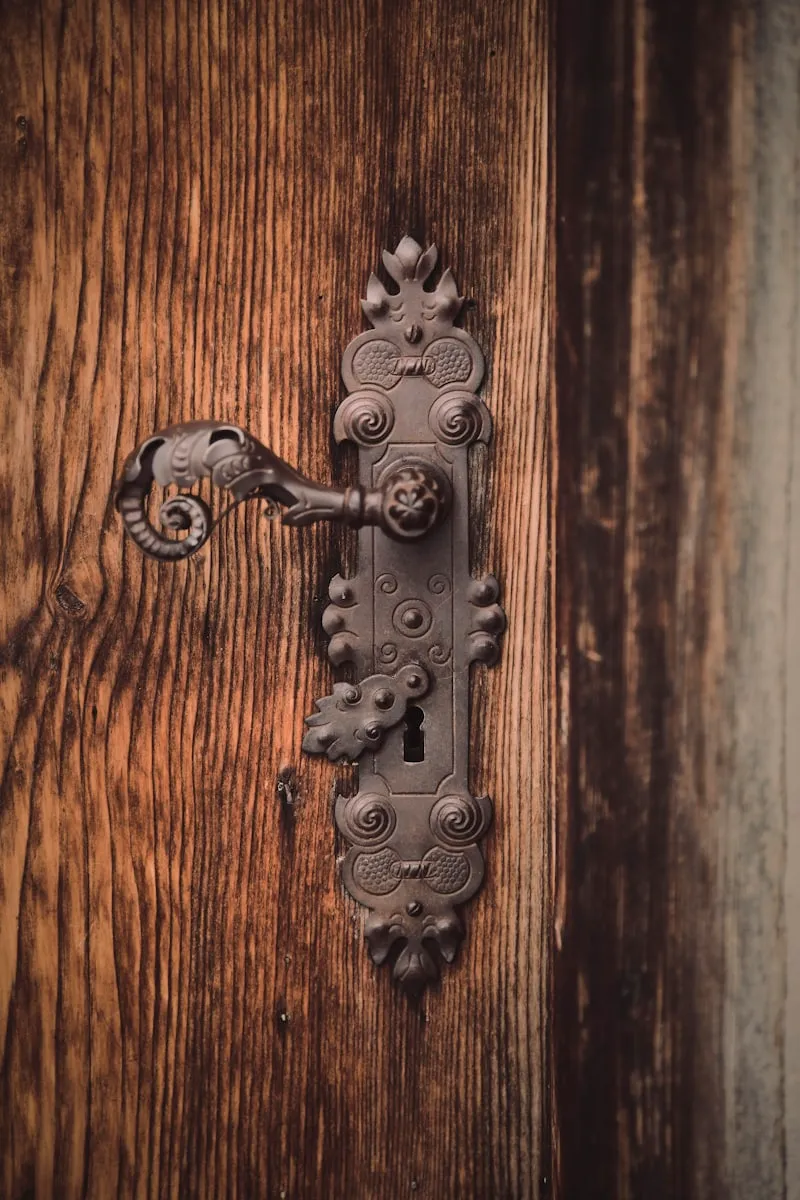 A black lever handle and lock on a timber front door.