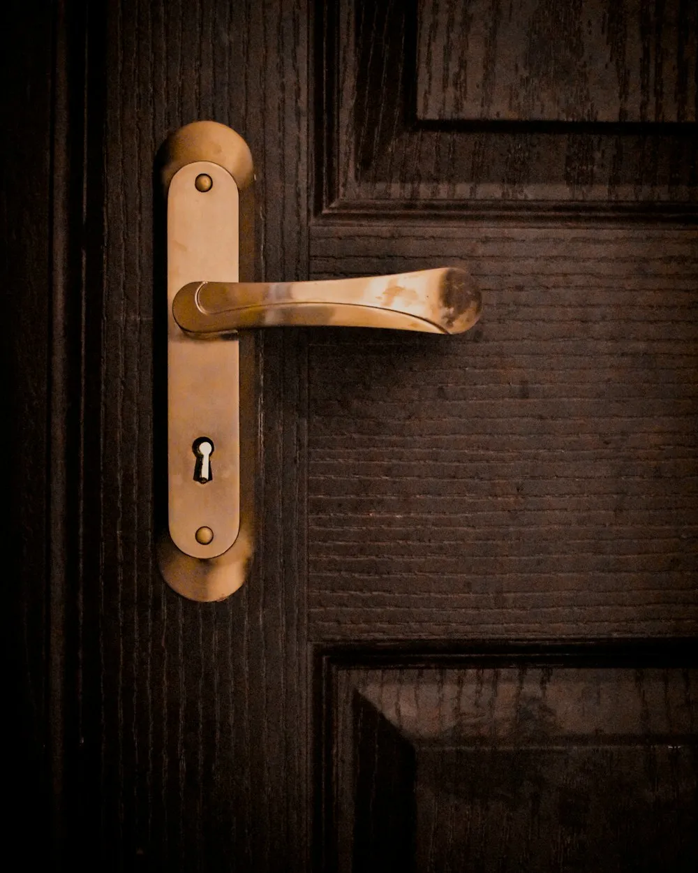 A polished gold lever handle on a panelled wooden door.