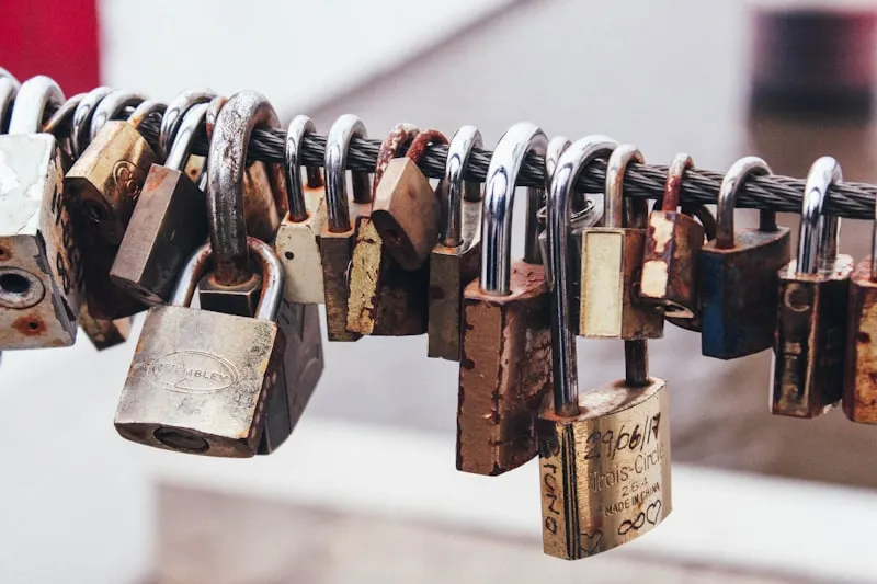 Heavy-duty padlocks secured on a steel cable.